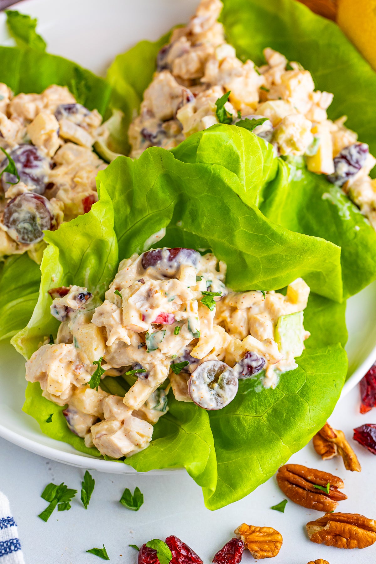 REDUCED Ultimate Chicken Salad SET 2