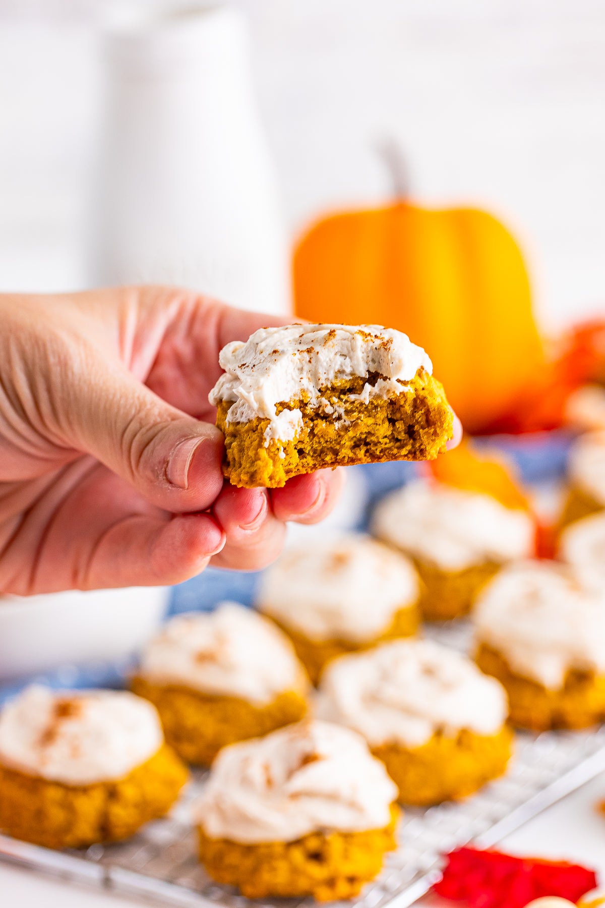 REDUCED Frosted Pumpkin Oatmeal Cookies SET 3